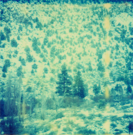 1141 zauberberg01.jpg